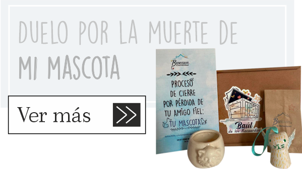 Caja Producto 6